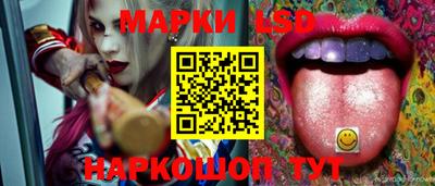 СК Камышлов
