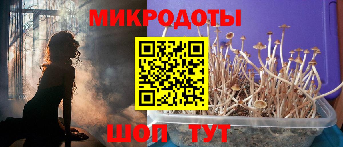 Галлюциногенные грибы GOLDEN TEACHER  Вход с VPN  Менделеевск  Галлюциногенные грибы Psilocybine cubensis 